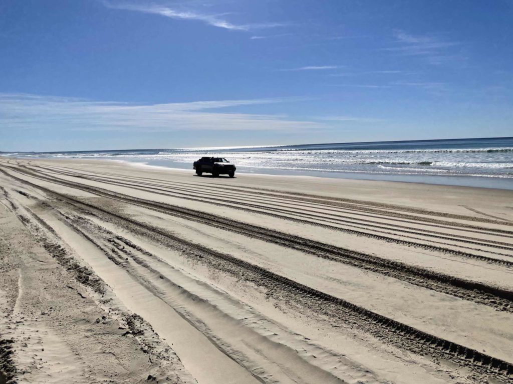 Tyre tracks on Noosa North SHore