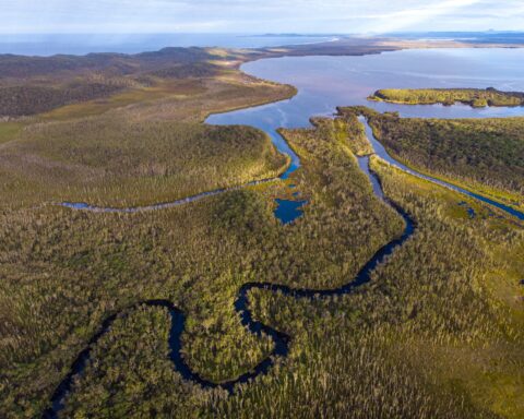 Ariel view of Noosa Everglades