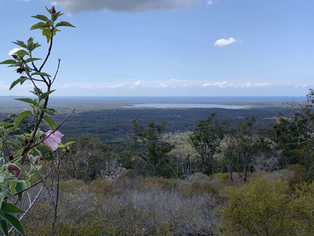 The view from Mt Tinbeerwah on Noosa Walks 