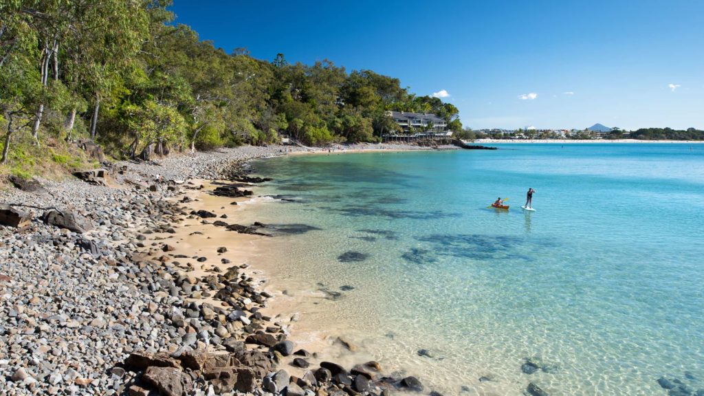 Stand Up Paddle Board Noosa