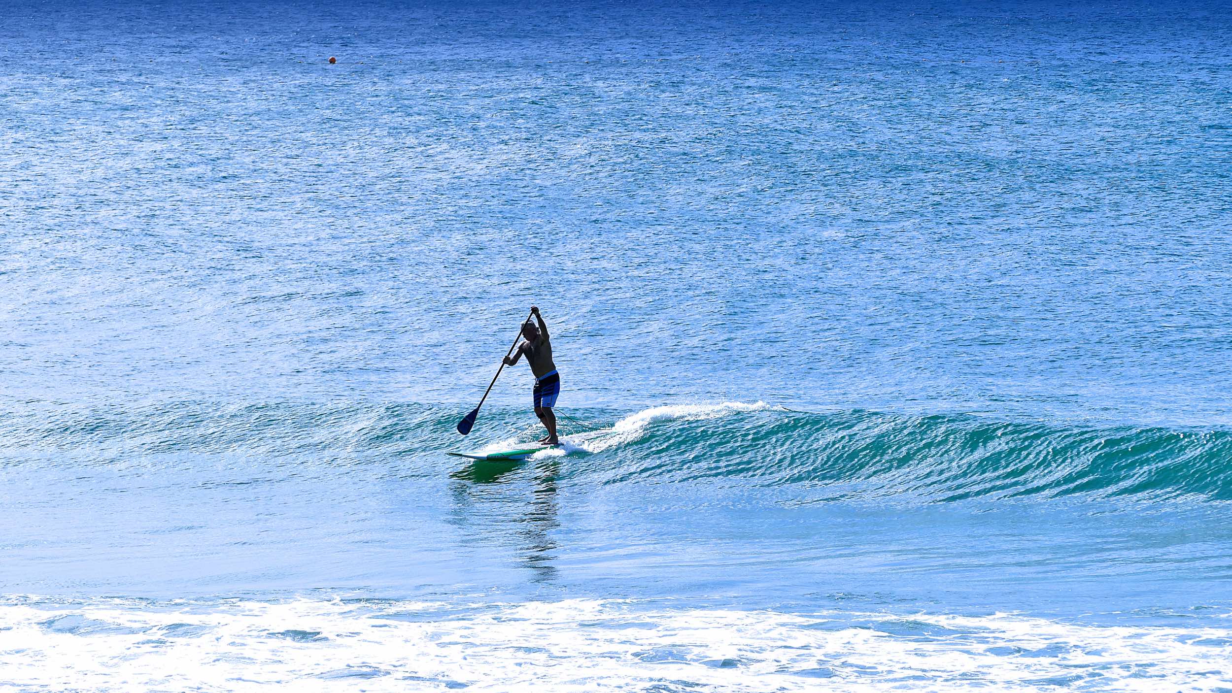 Stand Up Paddle Boarding in Noosa on the Ocean