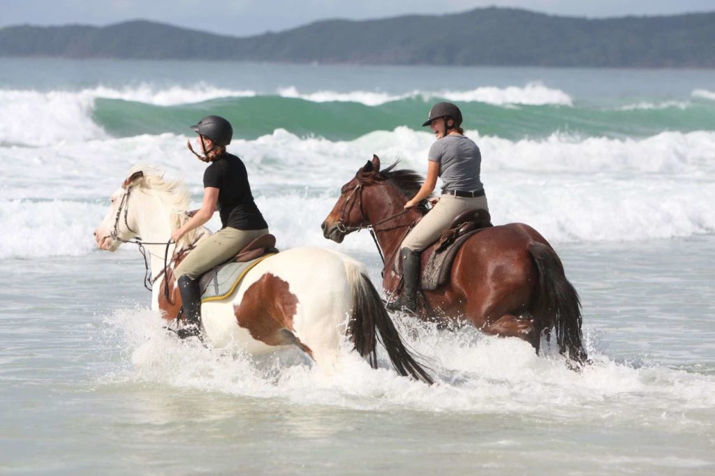 noosa horse riding - North Shore 