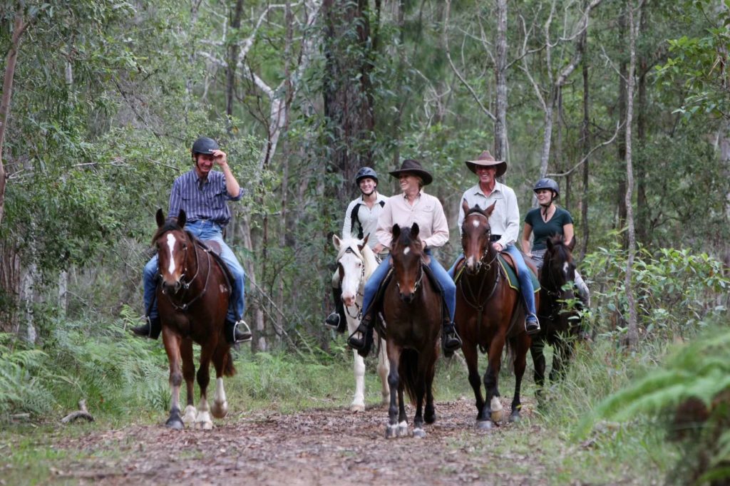 noosa horse riding