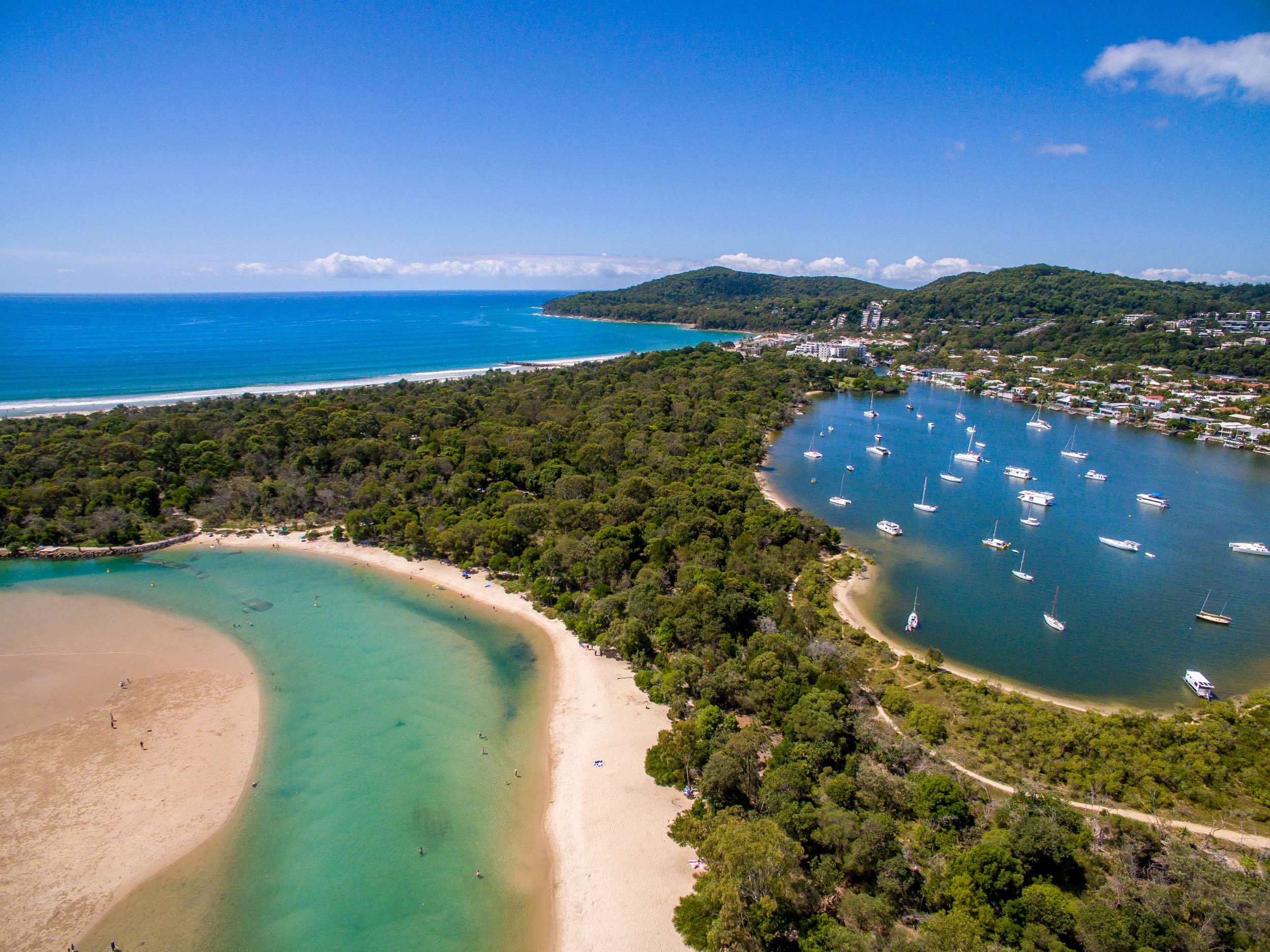 tourism noosa logo