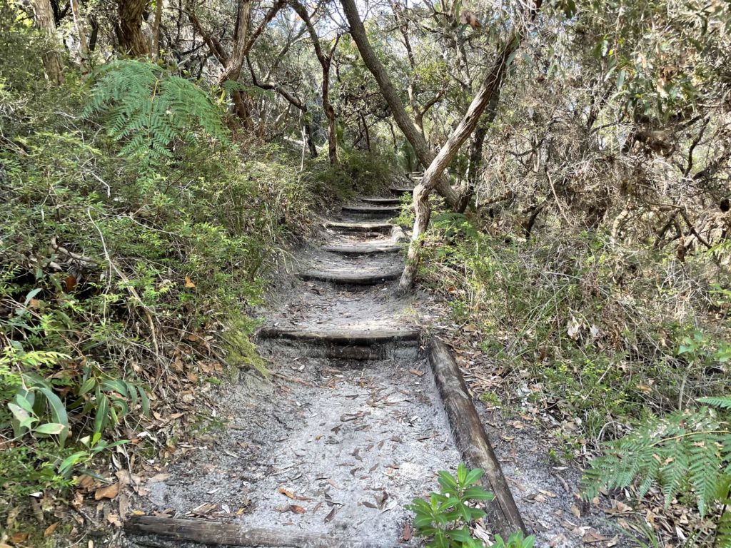 alexandria bay walk - steps 