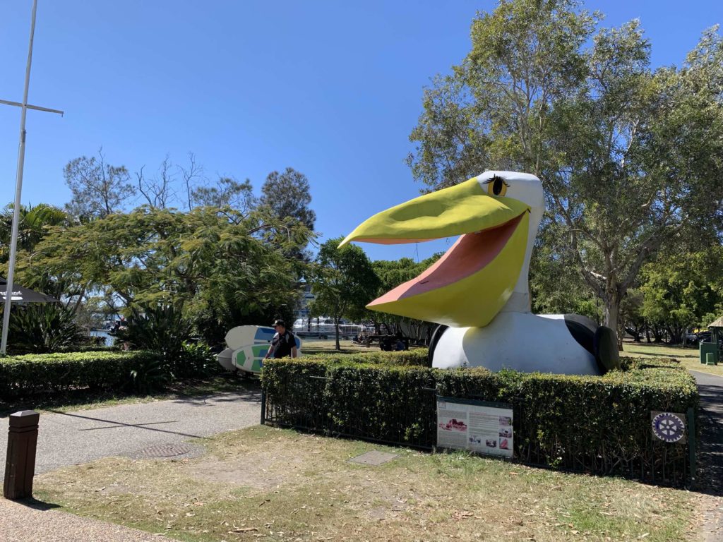 The Big Pelican on Gympie Terrace, Noosa