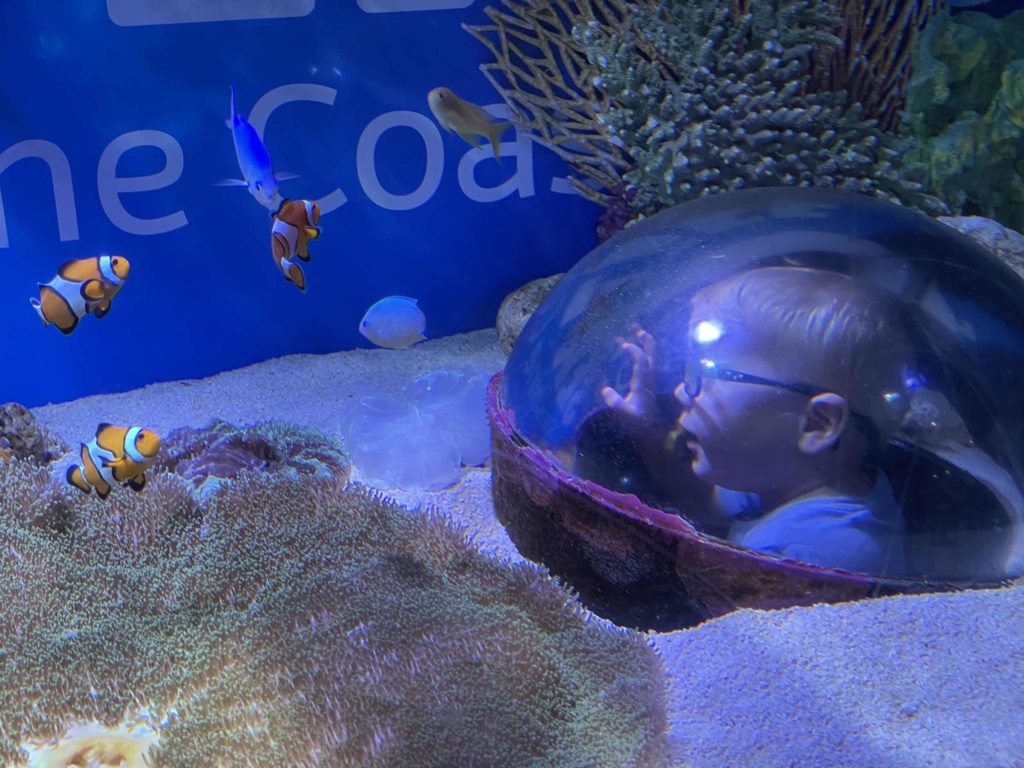 Sea Lif Aquarium - Mooloolaba  - Noosa School Holidays 