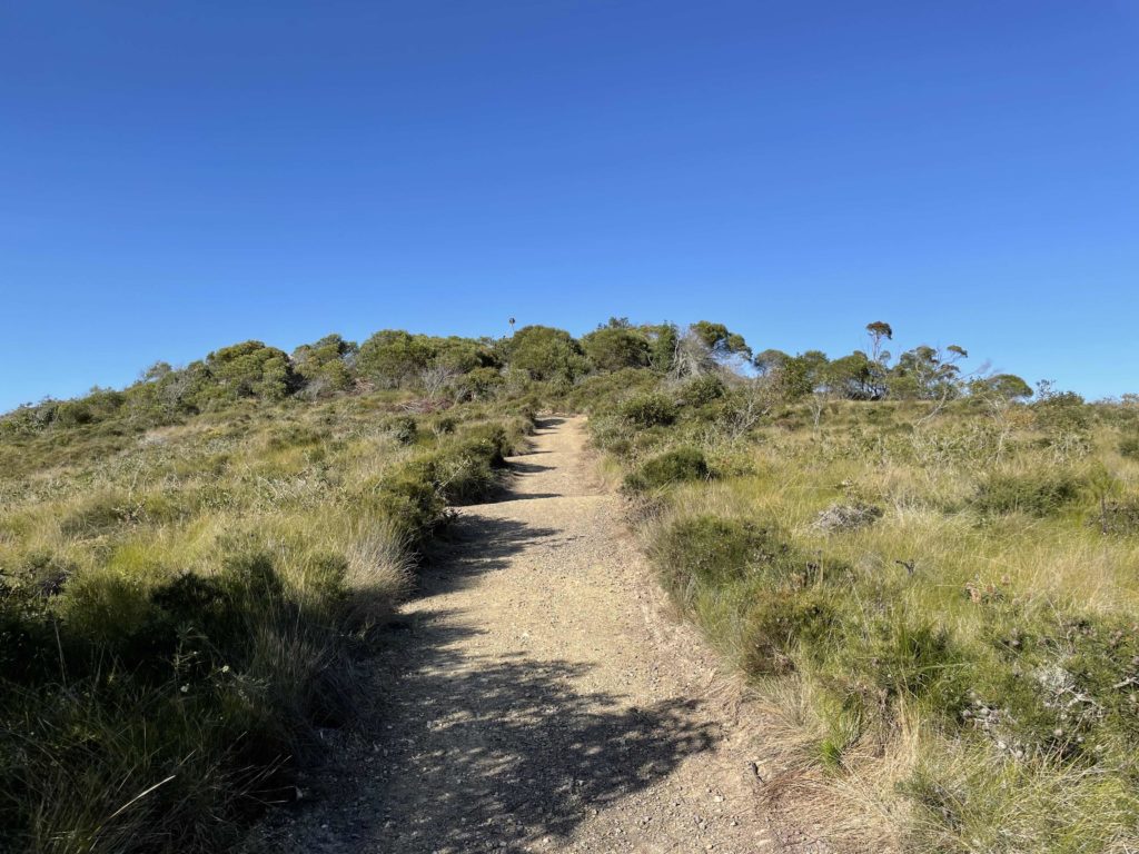 The path up Emu Mountain 