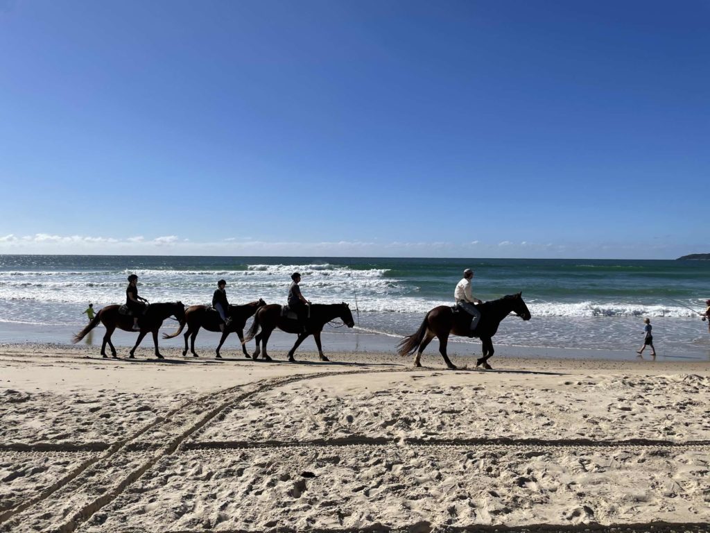 Horseriding on Noosa North SHore