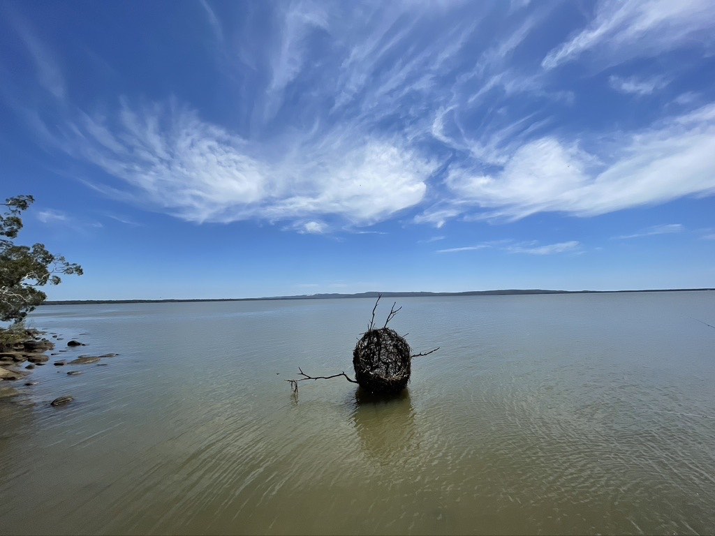 Boreen Point, Lake Cootharaba 