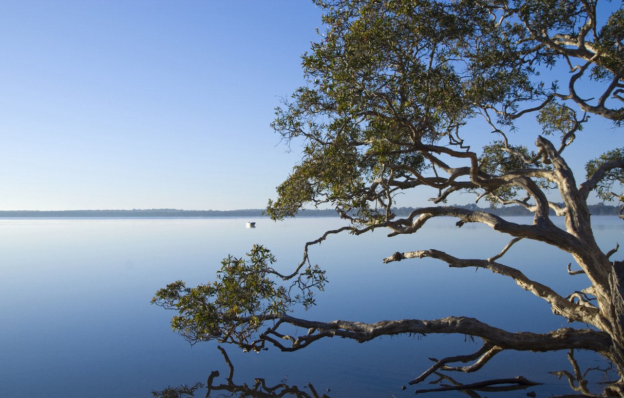 Lake Weyba 