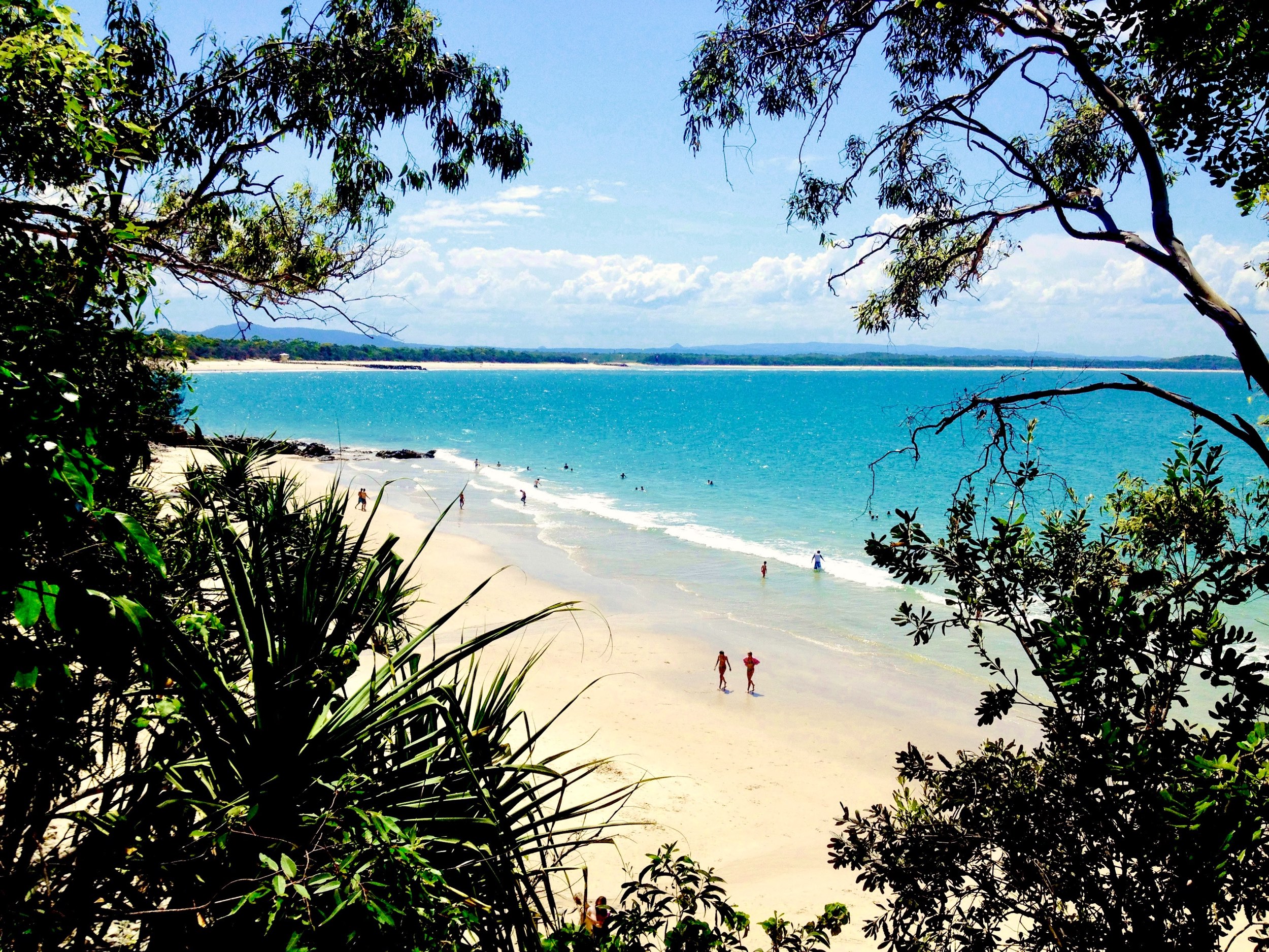 A walk through noosa national park 