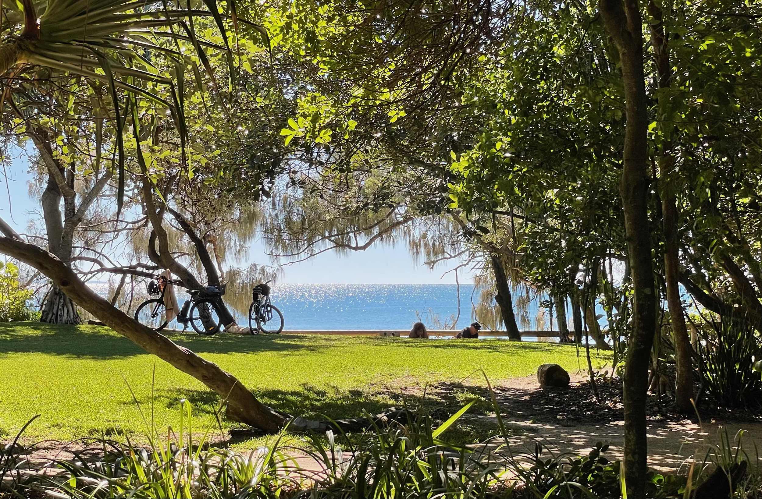 Noosa woods with bikes parked against a tree