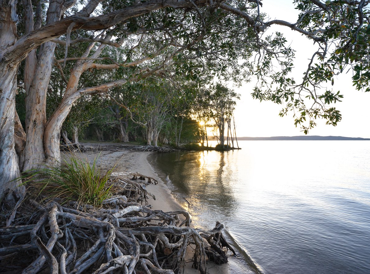 Lake Cootharaba, Noosa 