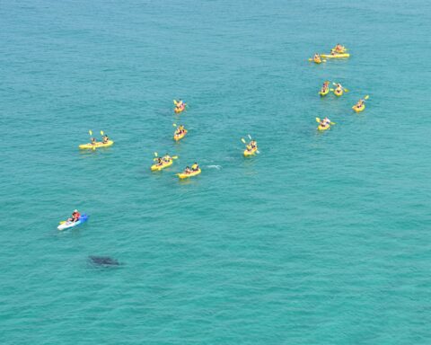 Noosa Kayak