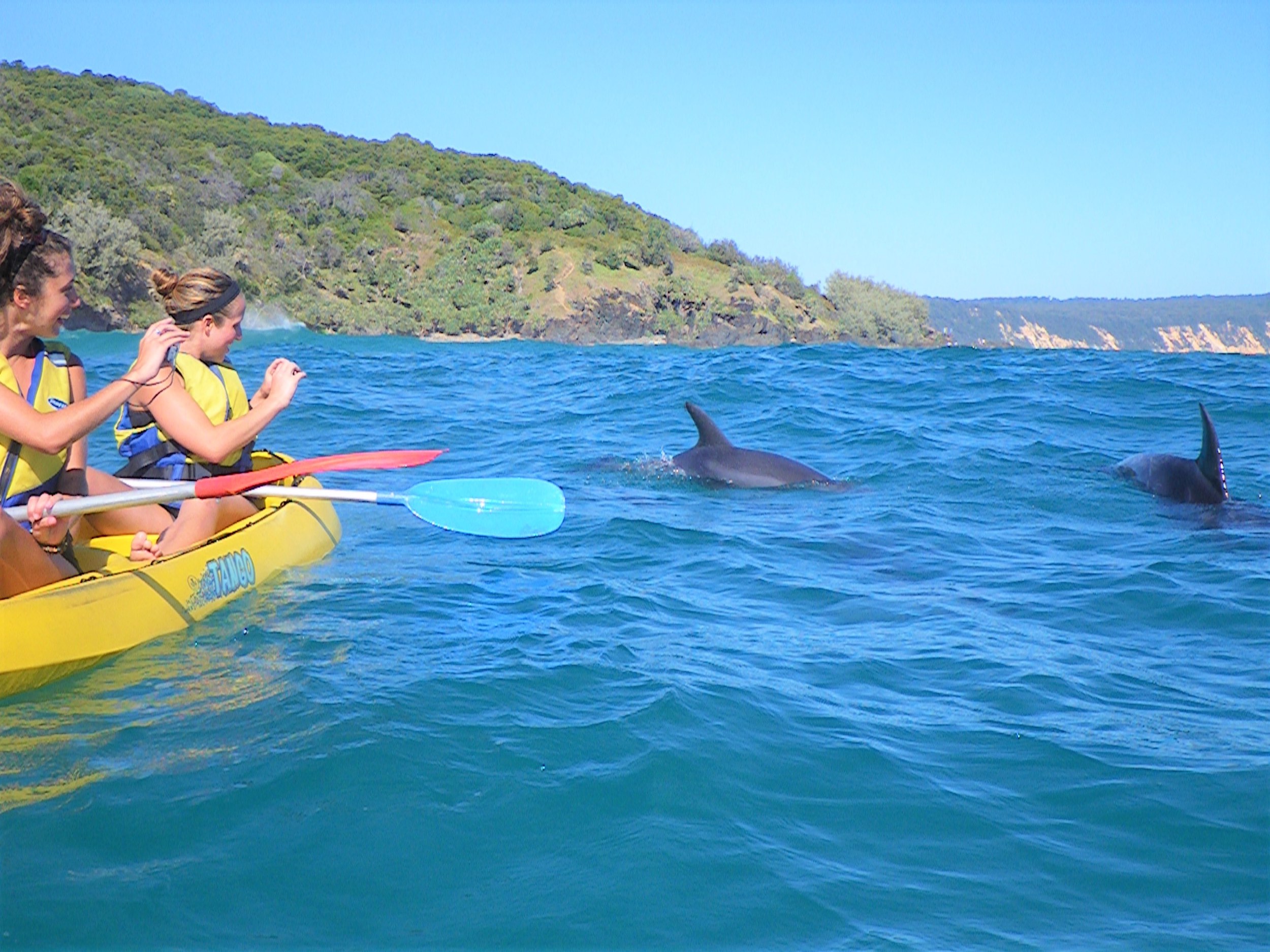 Noosa Kayak tour - 2 girls taking picures of dolphins 