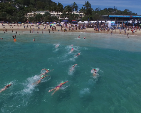 Noosa Summer Swim, people swimming towards main beach