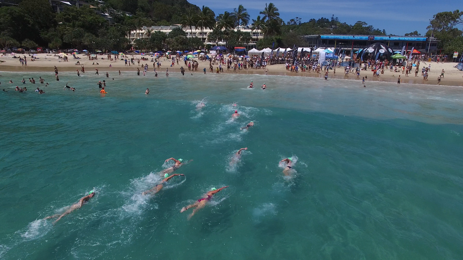 Noosa Summer Swim, people swimming towards main beach