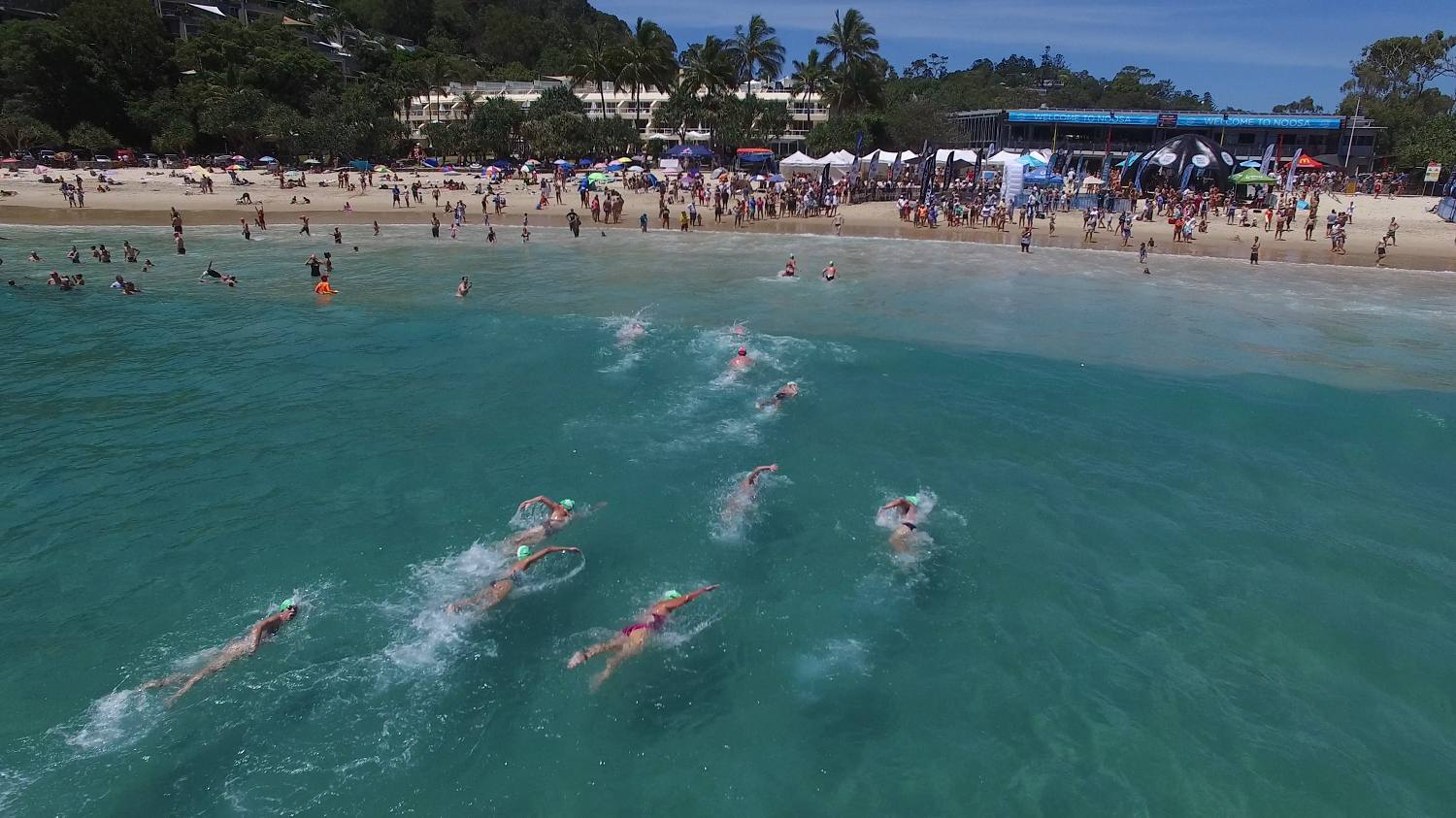 Noosa Summer Swim