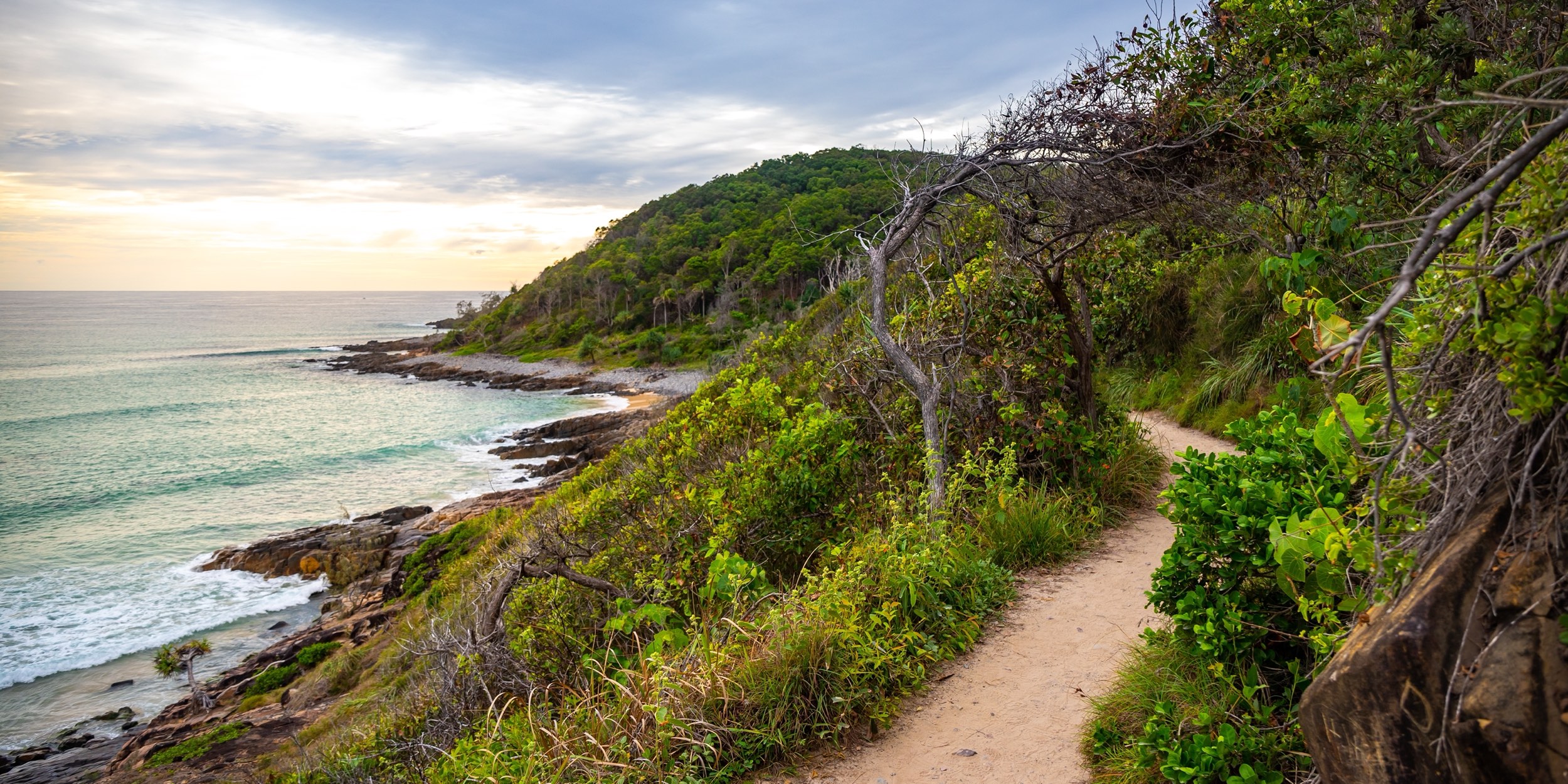 Noosa coastal track running alongside the Pacific Ocean  - noosa walks