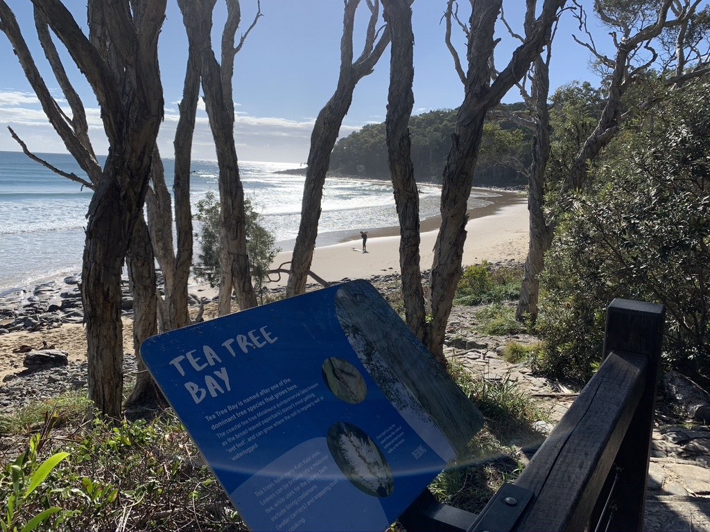 Tea Tree Bay Access from the Coastal Path