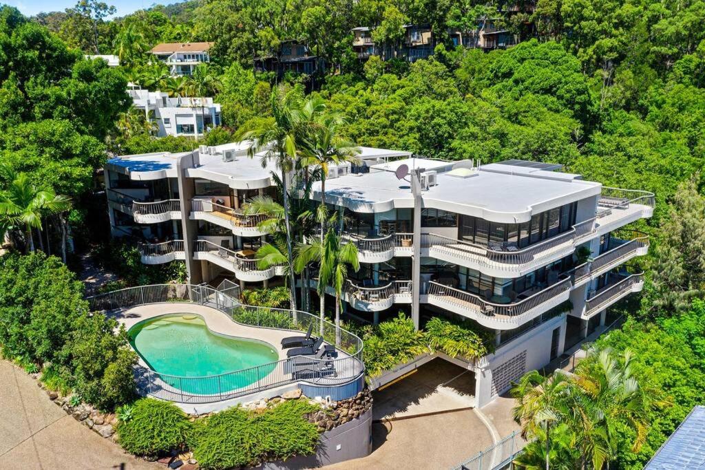 Tranquil Noosa in the trees