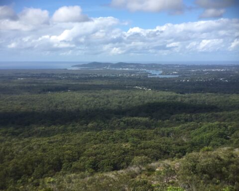 Tewantin National Park